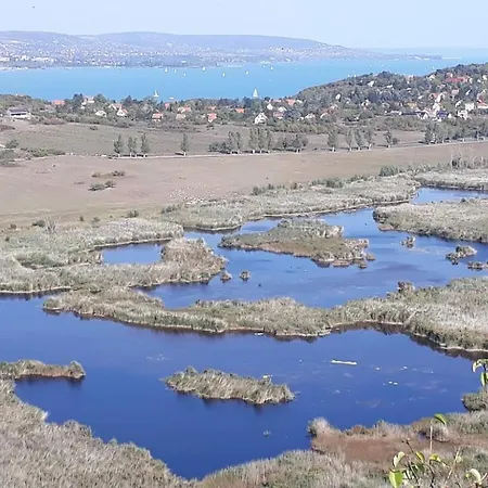 Lent A Parton - * Balatonudvari