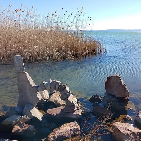 Lent A Parton - Apartment