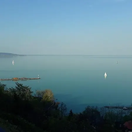 Lent A Parton - Apartment