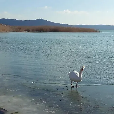 Lent A Parton - Apartman *