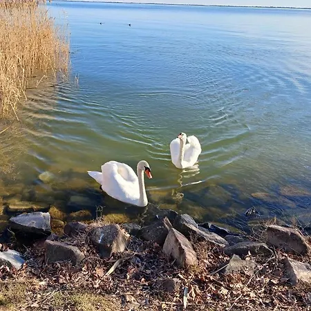 Apartment Lent A Parton - *