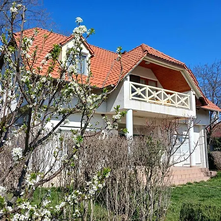 Apartman Lent A Parton - *