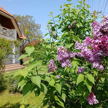 Διαμέρισμα Lent A Parton - *