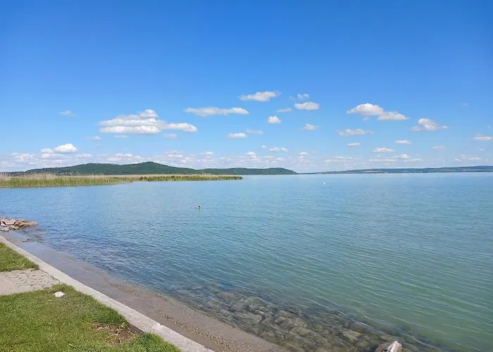 Appartement Lent A Parton - *