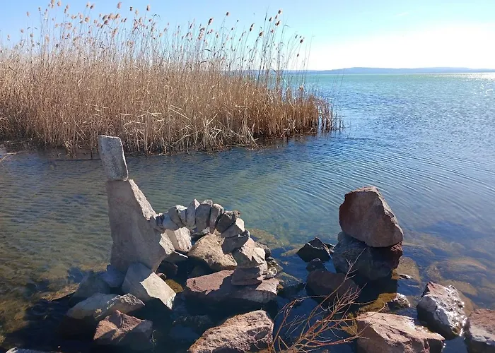 Lent A Parton - דירה