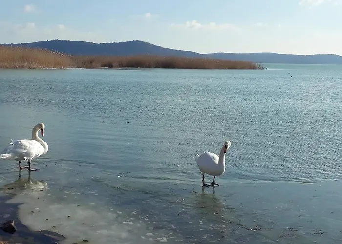 Lent A Parton - Appartement *