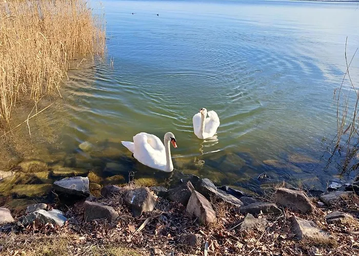 דירה Lent A Parton - *