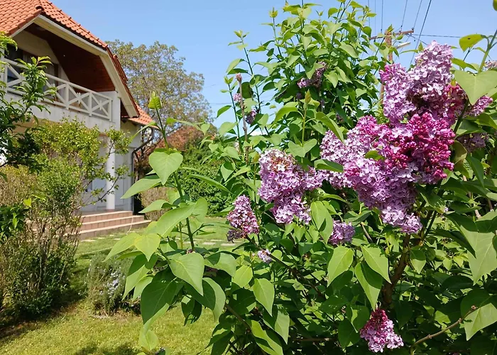 Appartement Lent A Parton - *